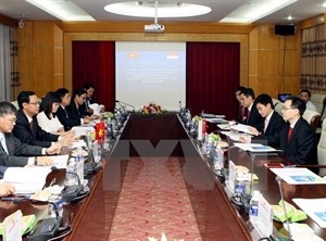 Vietnam, Singapore step up cooperation in anti-corruption - ảnh 1