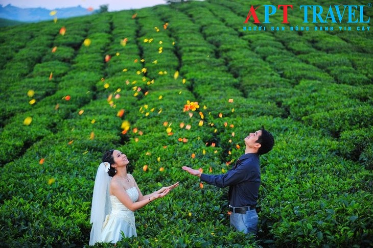 Stunning beauty of north western region’s paddy fields - ảnh 2