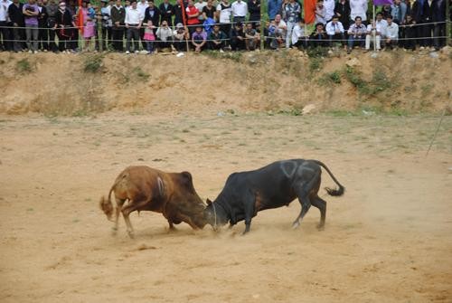 Khau Vai love market festival  - ảnh 7