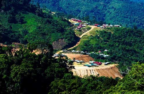 Rice terraces in Quang Nam in harvest - ảnh 5