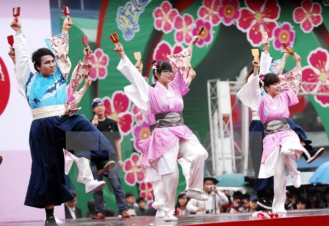 Vietnam-Japan cultural exchange held in Dak Lak - ảnh 1