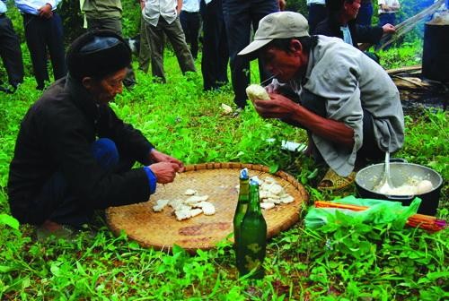 Pu Peo worship of the Forest Genie and forest protection - ảnh 3