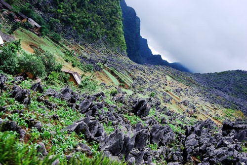 A breathtaking journey to Dong Van Plateau - ảnh 3