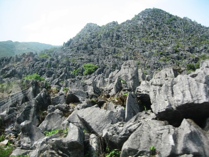 A breathtaking journey to Dong Van Plateau - ảnh 2