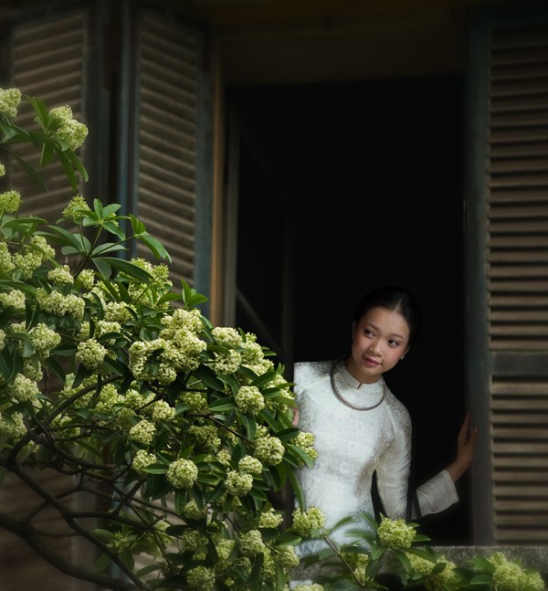 Hanoi’s autumn and milk flowers - ảnh 3