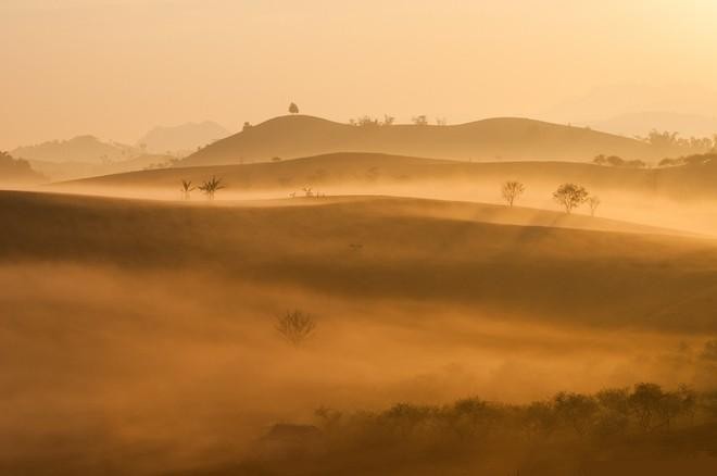 Magnificent beauty of Moc Chau in the dawn mist  - ảnh 3