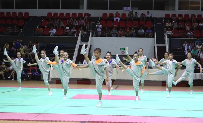 HCM City to host Aerobic Gymnastics Asian Championships  - ảnh 1