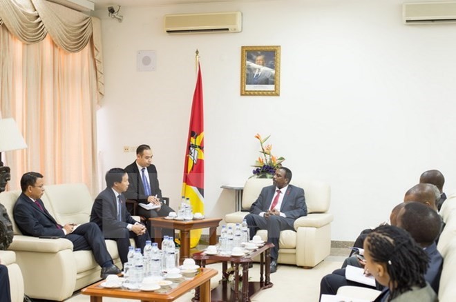 Vietnamese, Mozambican parliaments cement ties - ảnh 1