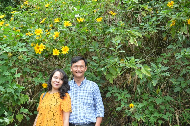 Wild sunflowers brighten Ba Vi National Park - ảnh 11