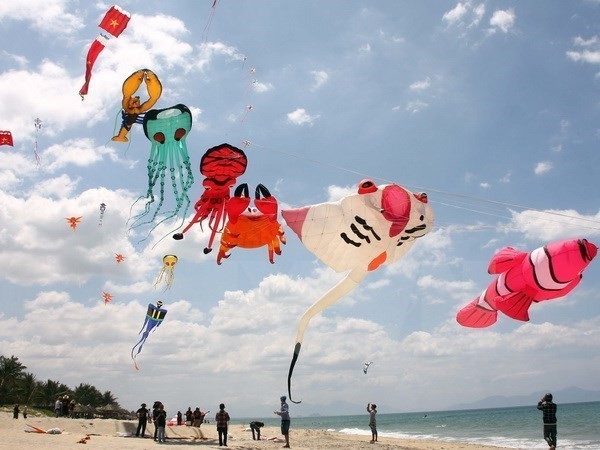 Ninh Thuan to hold international kiteboard event - ảnh 1