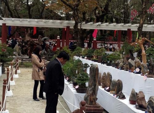 Spring festival opens in Hue - ảnh 1