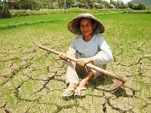 Severe drought forecast for central region in 2016 - ảnh 1