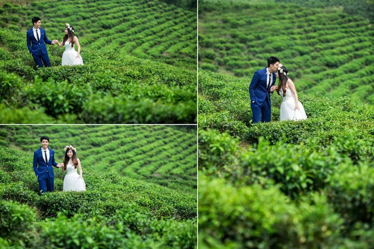 Wedding photo settings in and around Danang - ảnh 12