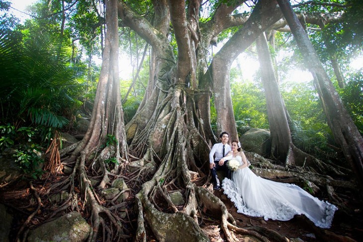 Wedding photo settings in and around Danang - ảnh 8