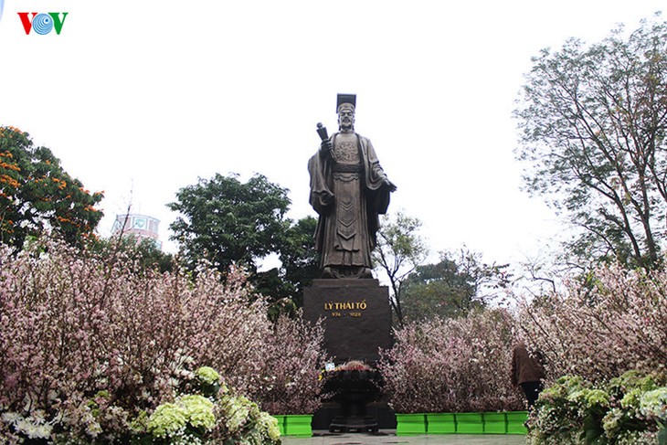 Cherry blossom trees in Hanoi - ảnh 6