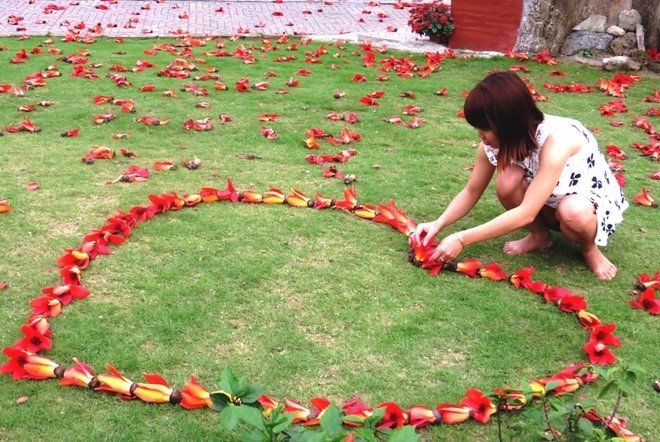 Red silk cotton trees in full bloom in Do Son  - ảnh 10