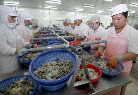 Bac Lieu to host Vietshrimp International Fair 2016 in June - ảnh 1