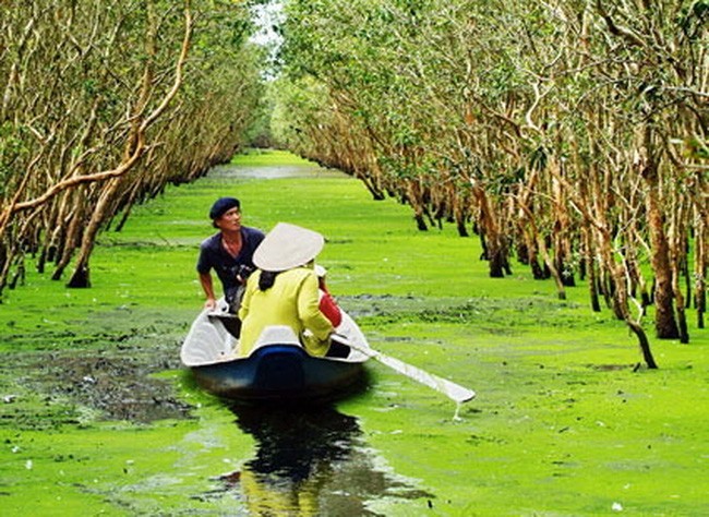 Kien Giang, a destination of National Tourism Year 2016 - ảnh 4