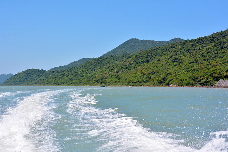 Ba Mun island - a paradise for wild animals - ảnh 1