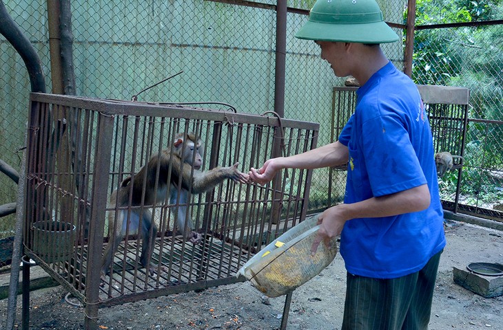 Ba Mun island - a paradise for wild animals - ảnh 3