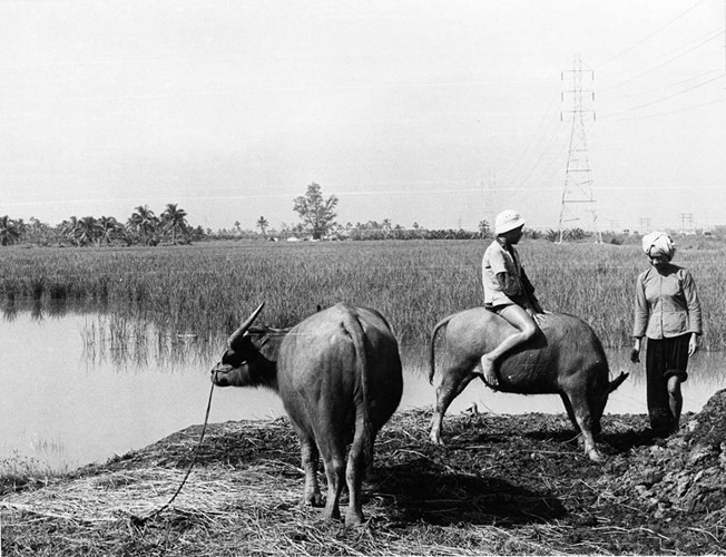 Remembering Saigon in 1967 - ảnh 10