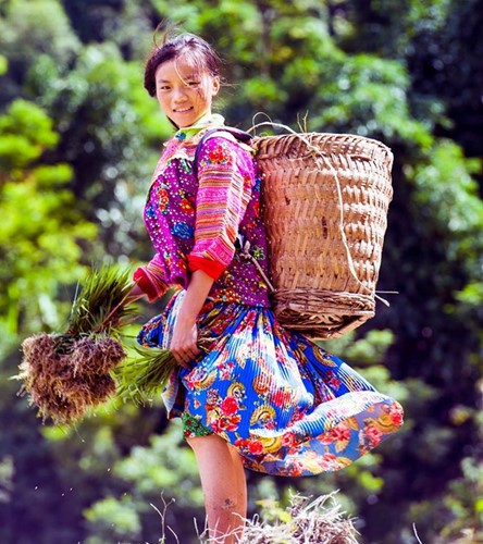 Hoang Su Phi terraced fields in rainy season - ảnh 10