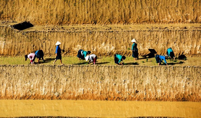 Hoang Su Phi terraced fields in rainy season - ảnh 1