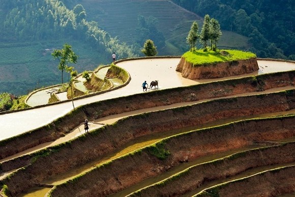 Hoang Su Phi terraced fields in rainy season - ảnh 7