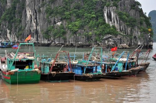 Localities are urged to prepare for the Dianmu storm - ảnh 1