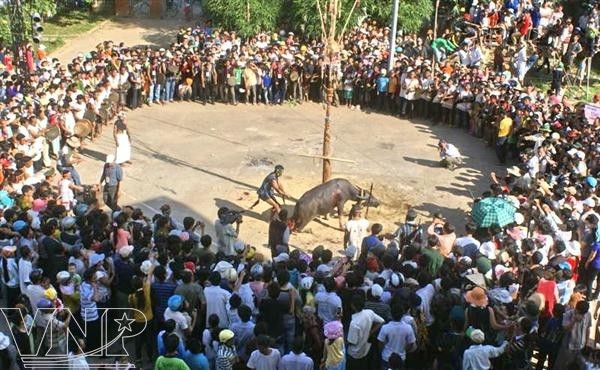 Folk dance of the K’ho - ảnh 1