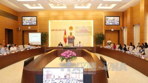 Enhancing capability of young parliamentarians - ảnh 1