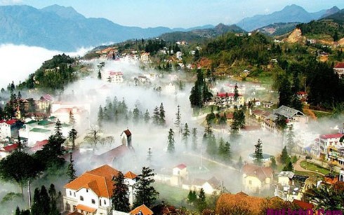 Ca Mau, Sa Pa welcomes a large number of visitors during Tet - ảnh 2