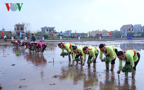 Vice President attends “Going to the fields” festival in Nam Dinh - ảnh 2