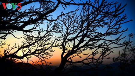 Yen Tu Mountain, a sacred and peaceful Buddhist sanctuary - ảnh 17