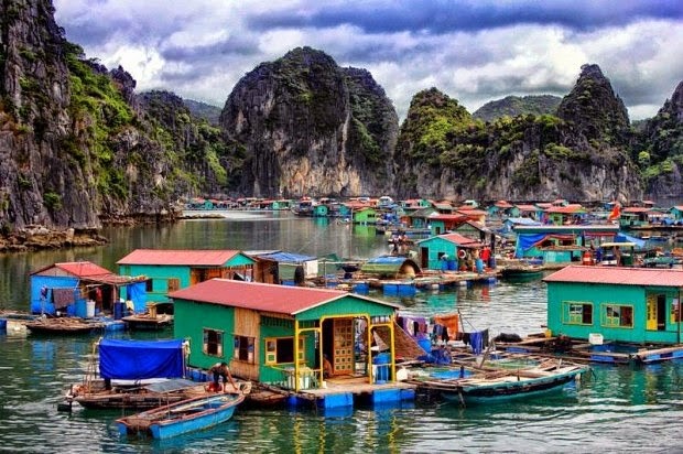 Protecting Ha Long Bay’s aqua resources - ảnh 1