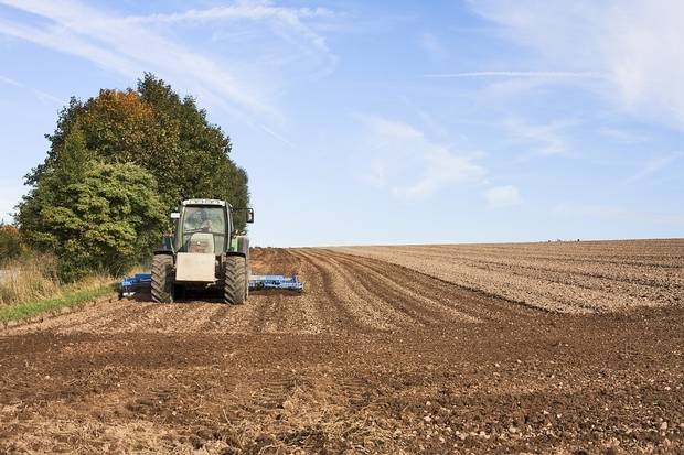 Northern Ireland’s post-Brexit agriculture - ảnh 1