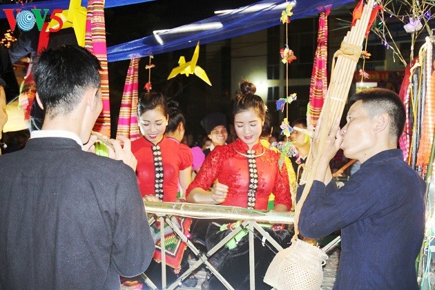 Muong Lo panpipe of the Thai - ảnh 1