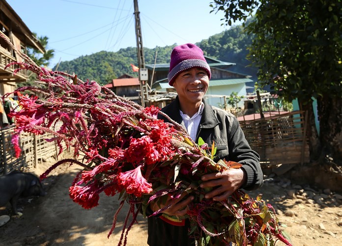 Flower Festival of the Cong in Dien Bien - ảnh 1