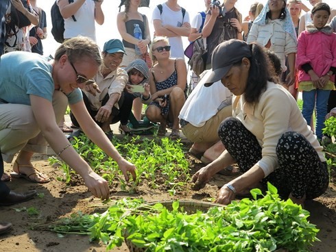 Homestay service in Hoi An attract visitors - ảnh 1