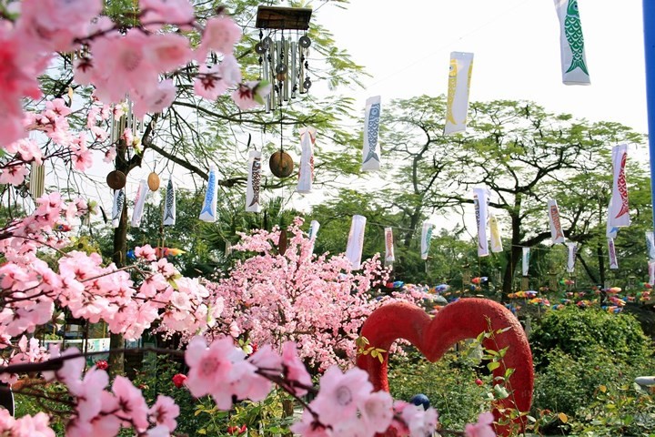 West Lake Water park features Asian cultures during Tet - ảnh 1