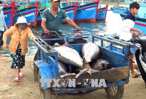 CPTPP’s positive impacts on farmers, fishermen - ảnh 1