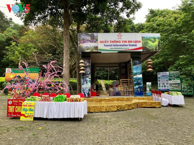 Hung Kings Temple Festival 2018 celebrated - ảnh 12