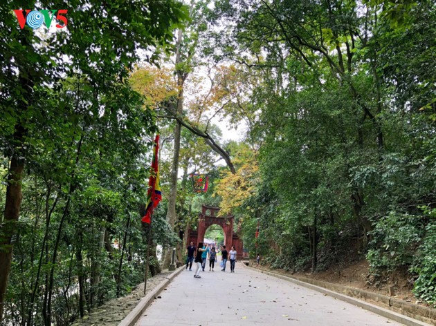 Hung Kings Temple Festival 2018 celebrated - ảnh 4