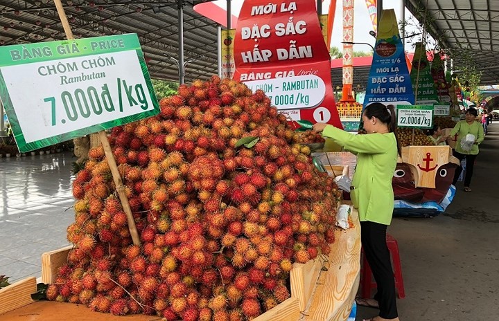 4th Southern Fruit Festival 2018 highlights floating market - ảnh 2