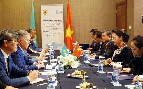 Top legislator meets Kazakh lower house chairman in Turkey  - ảnh 2