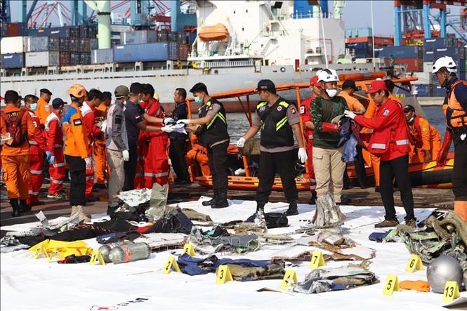 Search for missing Lion Air flight set to last seven days - ảnh 1