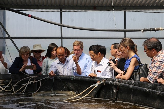 EP delegation works with Hai Phong city on IUU fishing - ảnh 2