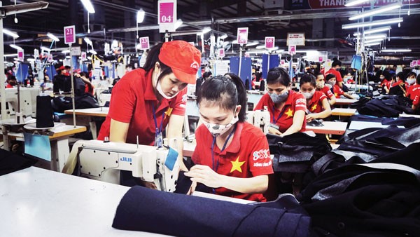 Private businesses in HCMC develop steadily  - ảnh 1