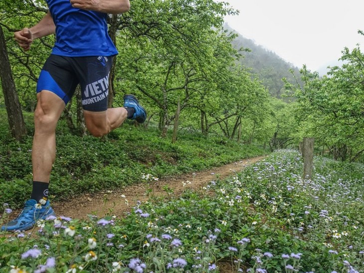 Vietnam Trail Marathon 2019 begins - ảnh 1