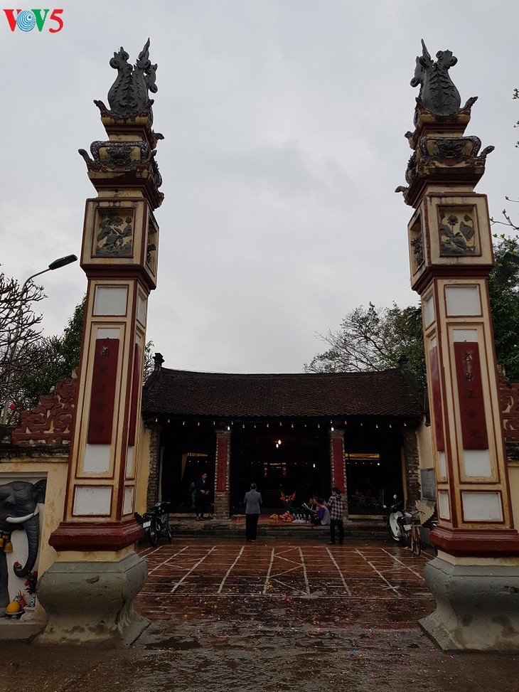 Pig procession festival in La Phu village - ảnh 1